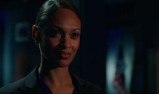 images/2016/10/05/amanda_waller.png