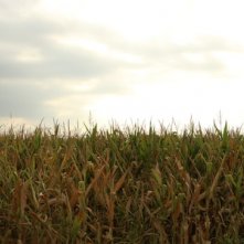 I volti della Via Francigena: un momento del documentario
