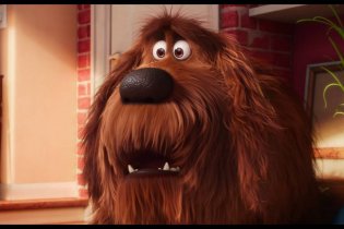 Pets - Vita da animali - Clip 'Max cerca di incastrare Duke'