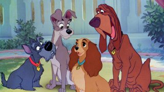 images/2016/10/09/128-lilli-e-il-vagabondo-1955-disney.jpg