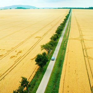 Goodbye Berlin: un momento del film