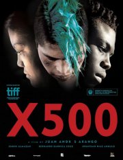 Locandina di X500