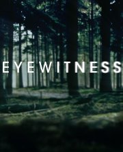 Locandina di Eyewitness