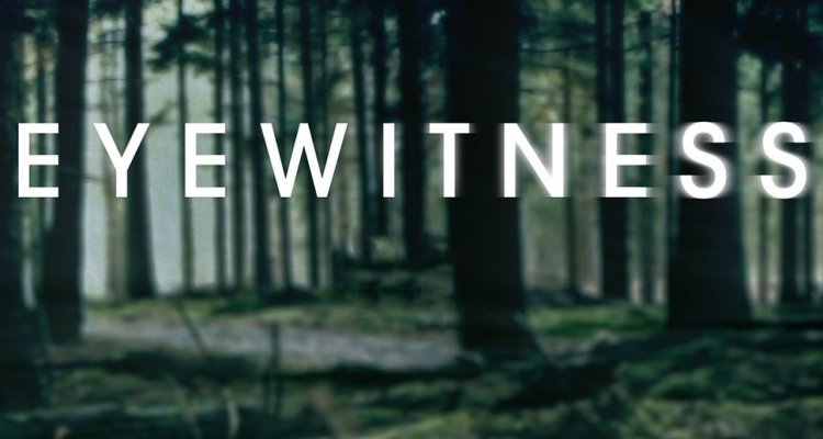 Eyewitness (Serie TV 2016 - 2016): Trama, Cast, Foto - Movieplayer.it