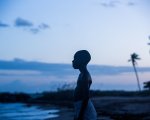 Moonlight: fuori dal nero e dentro al blu