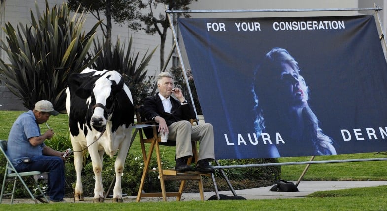 images/2016/10/18/david-lynch-cow-laura-dern-oscar-inland-empire-785x428.jpg