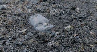 Naples '44: un'immagine del documentario di Patierno