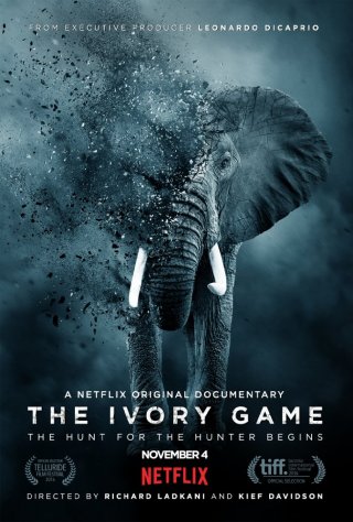 Locandina di The Ivory Game 