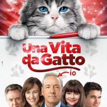 Locandina di Una vita da gatto