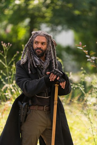 The Walking Dead: un'immagine di Re Ezekiel in The Well