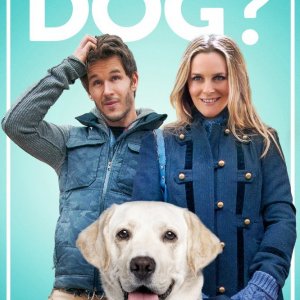 Locandina di Who Gets the Dog?