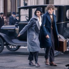 Fantastic Beasts And Where To Find Them Eddie Redmayne Katherine Waterston