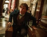 Animali Fantastici: J.K. Rowling è al lavoro sullo script del terzo film
