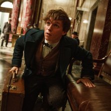 Fantastic Beasts And Where To Find Them Eddie Redmayne1