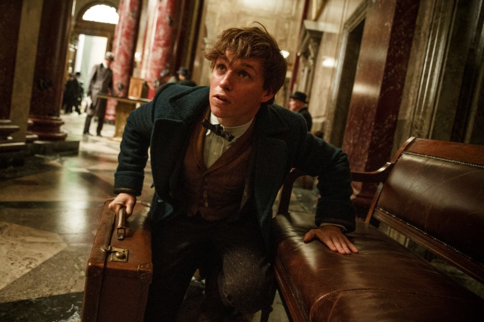 Fantastic Beasts and Where to Find Them: l'attore Eddie Redmayne nel ruolo di Newt Scamander