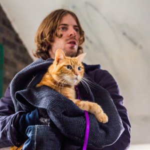 A spasso con Bob: Luke Treadaway con il suo gatto in una scena del film