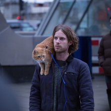 A spasso con Bob: Luke Treadaway in una scena del film