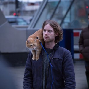 A spasso con Bob: Luke Treadaway in una scena del film