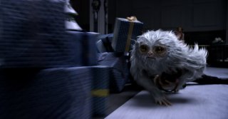 Animali fantastici e dove trovarli: un momento del film