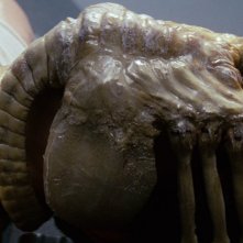 Alien di Ridley Scott, una scena del film