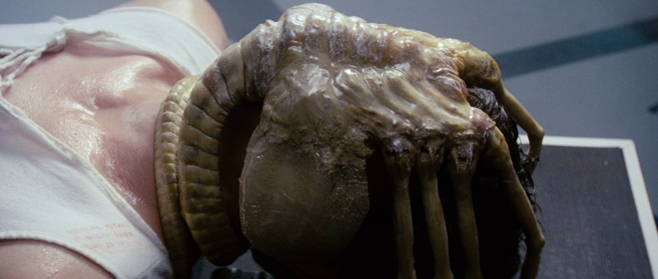 Alien di Ridley Scott, una scena del film