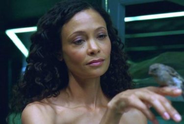 Westworld: Thandie Newton nel quinto episodio, Contrapasso