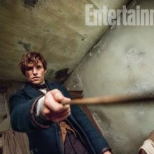 Animali Fantastici e Dove Trovarli: una foto del protagonista Eddie Redmayne