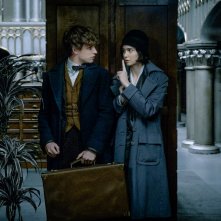 Animali Fantastici e Dove Trovarli: uno scatto che ritrae Eddie Redmayne e Katherine Waterston