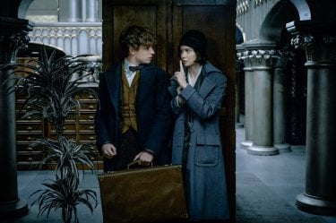 Animali Fantastici e Dove Trovarli: uno scatto che ritrae Eddie Redmayne e Katherine Waterston