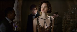 Animali Fantastici e Dove Trovarli: Eddie Redmayne e Katherine Waterston in un'immagine del film
