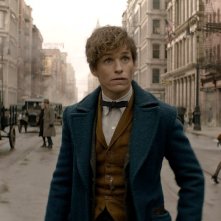 Animali Fantastici e Dove Trovarli: una foto di Eddie Redmayne, interprete di Newt Scamander
