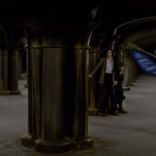 Animali Fantastici e Dove Trovarli: Katherine Waterston ed Eddie Redmayne in una foto del film