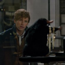Animali Fantastici e Dove Trovarli: il protagonista Eddie Redmayne insieme a una simpatica creatura