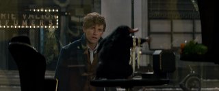 Animali Fantastici e Dove Trovarli: il protagonista Eddie Redmayne insieme a una simpatica creatura