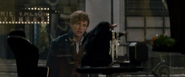 Animali Fantastici e Dove Trovarli: il protagonista Eddie Redmayne insieme a una simpatica creatura