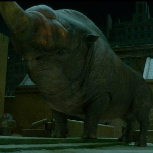 Animali Fantastici e Dove Trovarli: una creatura del film