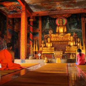 Talking to the Trees: una scena del film