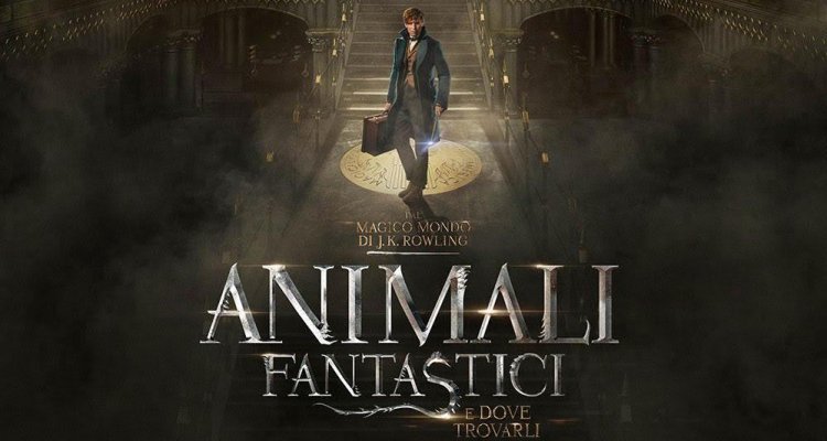 Animali Fantastici E Dove Trovarli Streaming Il Genio Dello Streaming