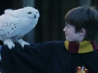 Harry Potter: 10 cose che (forse) non sapete sulla saga 