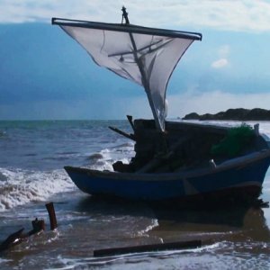 La felicità umana: un'immagine del documentario