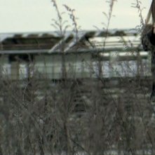 L'attrice Chiara Iezzi in una foto di scena