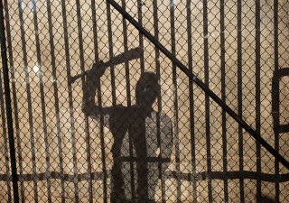 The Walking Dead: l'attore Jeffrey Dean Morgan in Al tuo servizio