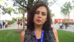 Animali Notturni: Video recensione