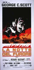 Locandina di La notte del furore