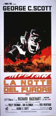 Locandina di La notte del furore