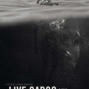 Locandina di Live Cargo