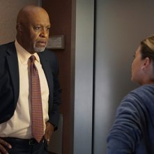 Grey's Anatomy: James Pickens Jr. ed Ellen Pompeo in Undo