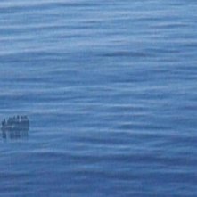 Locandina di Havarie