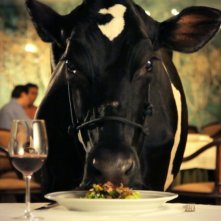 Animal político: un'immagine tratta dal film brasiliano