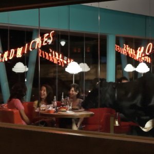 Animal político: un'immagine del film